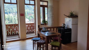 AlpHouseApartment Mestia